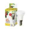 Лампа светодиодная LED-R39-standard 5Вт 230В Е14 3000К 450Лм ASD фото 1