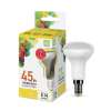 Лампа светодиодная LED-R50-standard 5Вт 230В Е14 3000К 450Лм ASD фото 1