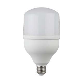 Лампа светодиодная ЭРА LED smd POWER 20W-6500-E27