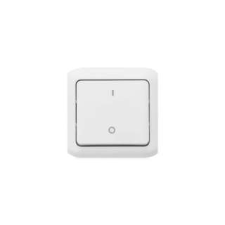 Legrand 782309 Выключатель двухполюсный IP44 белый 